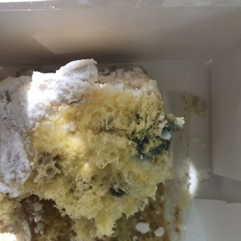 Basque Boulangerie Cafe - Moldy Beehive Cake. Green mold just under the layer of powdered sugar - Bakeries Near Me - Sonoma, California Basque Boulangerie Cafe - Moldy Beehive Cake. Green mold just under the layer of powdered sugar - Bakeries Near Me - Sonoma, California