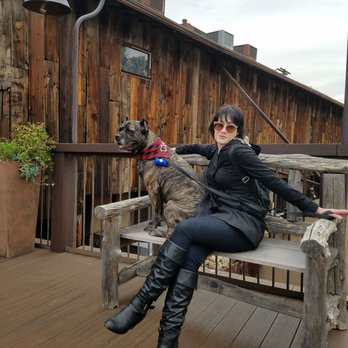Orange County Mining Company - #dog friendly zone - Steakhouses Near Me - Orange, California Orange County Mining Company - #dog friendly zone - Steakhouses Near Me - Orange, California
