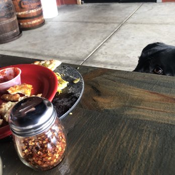 Tennessee Legend Distillery - Roscoe waiting for his sampling! - Distilleries Near Me - Sevierville, Tennessee Tennessee Legend Distillery - Roscoe waiting for his sampling! - Distilleries Near Me - Sevierville, Tennessee