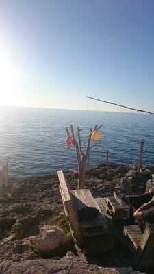 Al Trabucco da Mimì by null