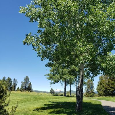 Crosswater Golf Course by null