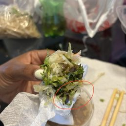 Spring Rolls
