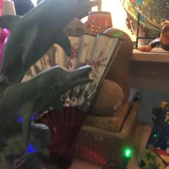 Tropic Bay Water Gardens - Dolphins laughing with my jokes are at my jokes?! - Aquarium Services Near Me - Davidsonville, Maryland Tropic Bay Water Gardens - Dolphins laughing with my jokes are at my jokes?! - Aquarium Services Near Me - Davidsonville, Maryland