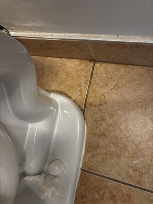 Ashworth by the Sea by null