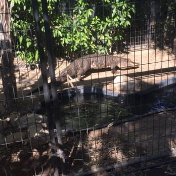 Wildlife Learning Center - Zoos Near Me - Sylmar, California Wildlife Learning Center - Zoos Near Me - Sylmar, California