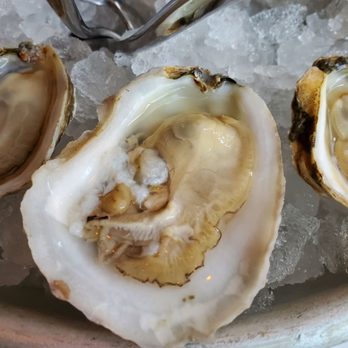 801 Fish - Seafood Near Me - Clayton, Missouri 801 Fish - Seafood Near Me - Clayton, Missouri