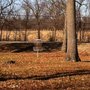 Photo of Mack Taylor Park
