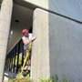 Photo of GD Handyman Services