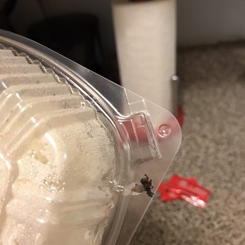Mama Sushi - Fly found in my left overs! - Sushi Bars Near Me - New York, New York