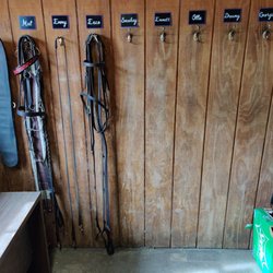 Licciardello Stables - Lesson tack room