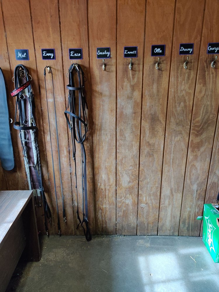 LICCIARDELLO STABLES Updated September 2024 3007 Sunset Ln, Lutz