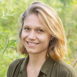 Aligned Modern Health - Dr. Hona Backstrom, L.Ac, DACM, MSTOM, Dipl. OM - Licensed Acupuncturist