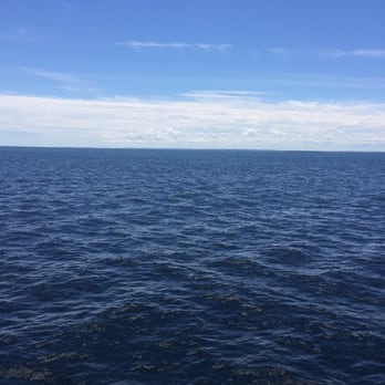 Alpena Shipwreck Tours - Tours Near Me Alpena Shipwreck Tours - Tours Near Me