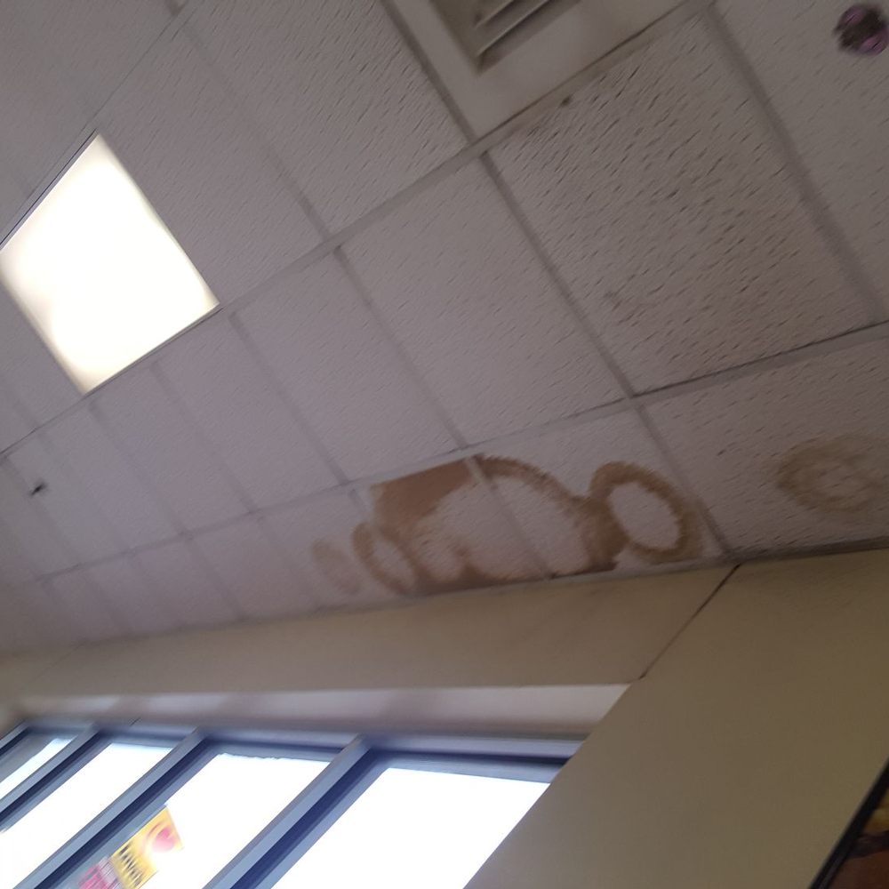 Sonic Drive-In - Mold stained ceiling tiles and filth covered ceiling tiles - Burgers Near Me - Hinton, Oklahoma Sonic Drive-In - Mold stained ceiling tiles and filth covered ceiling tiles - Burgers Near Me - Hinton, Oklahoma