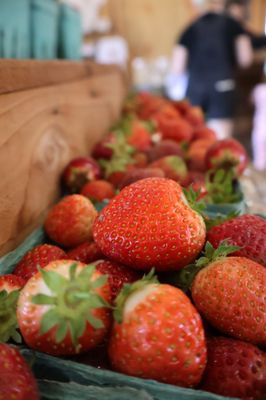 Swans Trail Farms by null