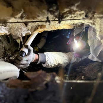 Benchmark Plumbing - Plumbing Near Me - Eugene, Oregon Benchmark Plumbing - Plumbing Near Me - Eugene, Oregon