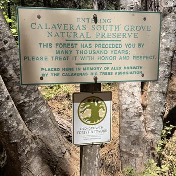Calaveras Big Trees State Park - Parks Near Me - Arnold, California