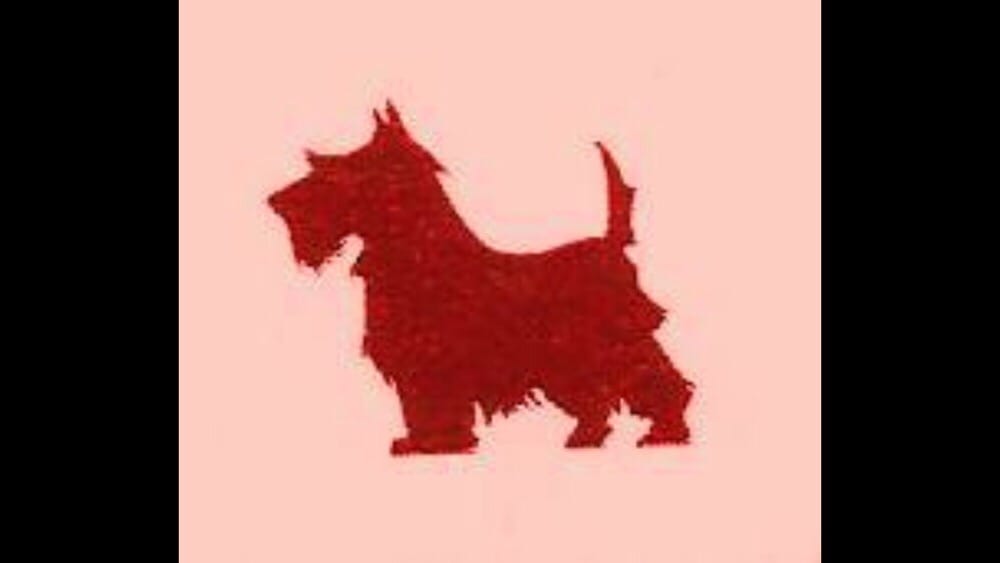 FIRST CLASS GROOMING Updated October 2024 100 N Highway 377, Pilot