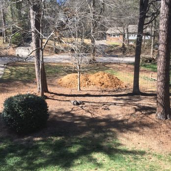 Youngs Tree Tech - before - Tree Services Near Me - Raleigh, North Carolina