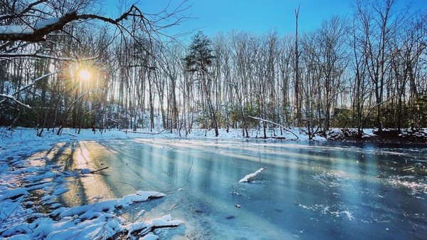 Wolf Trap National Park for the Performing Arts by null