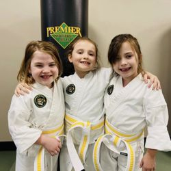 Premier Martial Arts - Teammates!