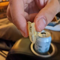 Golden Wok - Un-devained shrimp