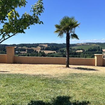 Coria Estates - Great view with palm tree. - Wine Tasting Room Near Me - Salem, Oregon