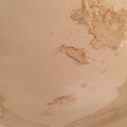 My shower friend. White, fuzzy, and making my allergies flare. My shower friend. White, fuzzy, and making my allergies flare.