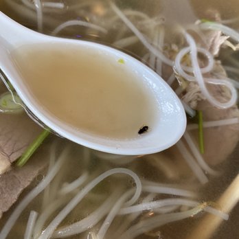 Pho 24 - Pho - Vietnamese Near Me - Sandy Springs, Georgia