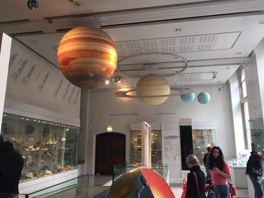 Manchester Museum by null