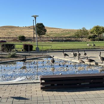 Charleston Park - Parks Near Me - Mountain View, California Charleston Park - Parks Near Me - Mountain View, California