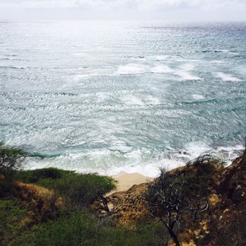 Aloha Trikke - Tours Near Me - Honolulu, Hawaii