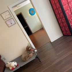 Wai Acupuncture & Integrative Chinese Medicine - Cookie