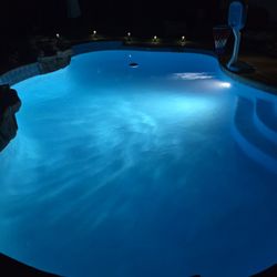Dynasty Pools - clean pool and new pool light