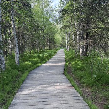 Eagle River Nature Center - Boardwalk - Hiking Near Me - Eagle River, Alaska Eagle River Nature Center - Boardwalk - Hiking Near Me - Eagle River, Alaska