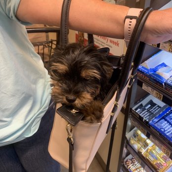 Wegmans - Dog friendly - Grocery Near Me - Virginia Beach, Virginia