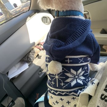 Paw Dazzle Pet Bakery And Boutique - We also got Benjamin's winter sweater here last October!  Soooo cute! - Pet Stores Near Me - Galloway, New Jersey