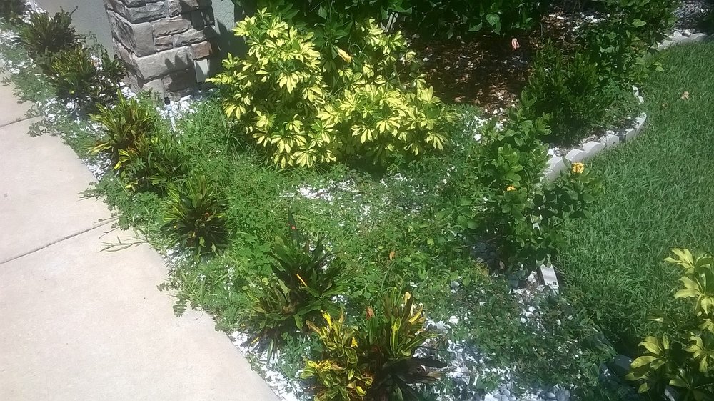 Slide of Election Roofing and Construction