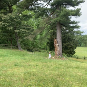 Chapman State Park - Hiking Near Me - Indian Head, Maryland
