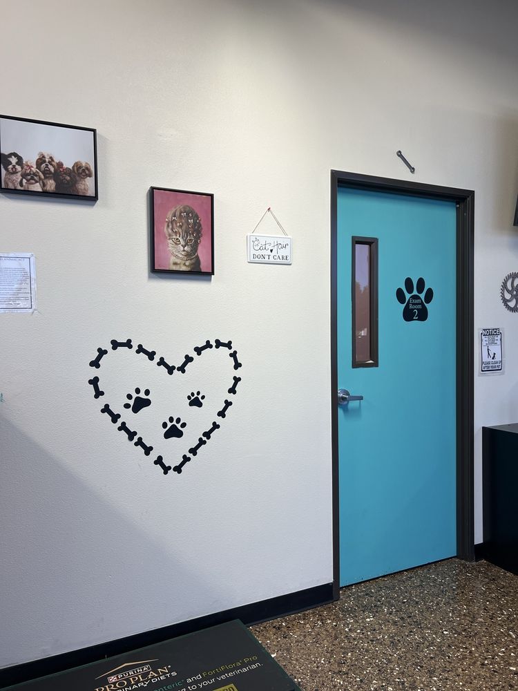 PET CHECK ENGINE ANIMAL HOSPITAL Updated October 2024 44 Photos & 19 Reviews 40125 10th St