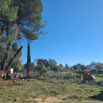 CalWest - Tree Services Near Me CalWest - Tree Services Near Me