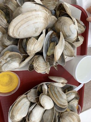 Brown's Lobster Pound by null