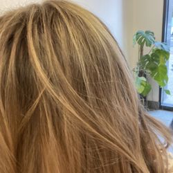 Aurora Salon - Highlights