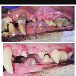 I can't believe it. Before and after Wow!! I can't believe it. Before and after Wow!!
