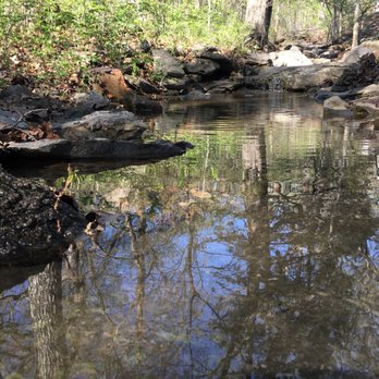 Pettit Bayside Resort - This little creek is located on the property. So peaceful. - Resorts Near Me Pettit Bayside Resort - This little creek is located on the property. So peaceful. - Resorts Near Me
