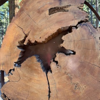 Calaveras Big Trees State Park - Parks Near Me - Arnold, California