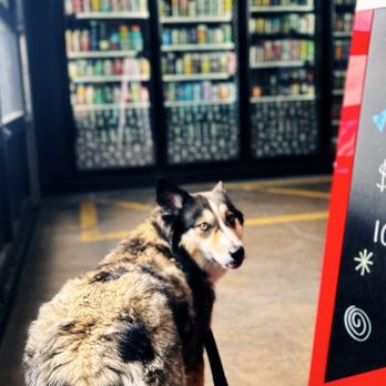 Ants Beer Cave - My dog wants to get a closer look at beer selection - Beer Bar Near Me - Austin, Texas Ants Beer Cave - My dog wants to get a closer look at beer selection - Beer Bar Near Me - Austin, Texas