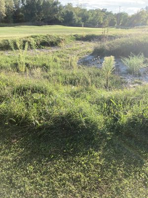 INKSTER VALLEY GOLF COURSE Updated August 2025 11 Photos 18