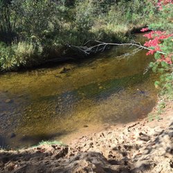 Ocqueoc Falls Bicentennial Pathway - Go jump in the river!