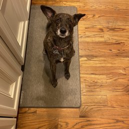 Gumbo Gumbo